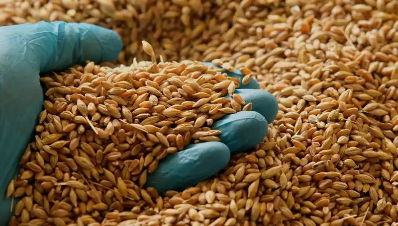 Kalp Hastalığı Riskini Düşüren Beslenme Alışkanlıkları: Uzmanından Öneriler