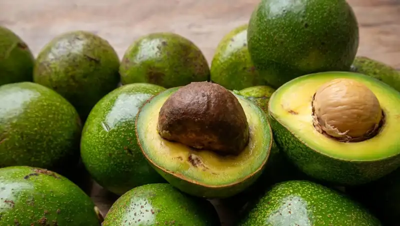 Avokado Çekirdeği: Sağlık İçin Gizli Bir Hazineyi Keşfedin