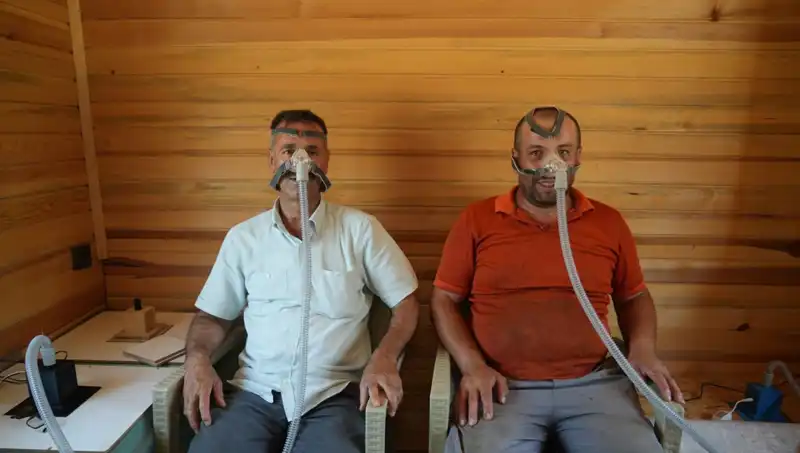 Alerji ve Astımda Şifa Arayanlar İçin Doğanın İnanılmaz İksiri