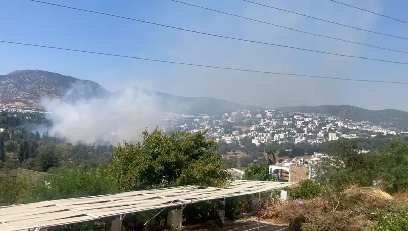 Muğla'daki Orman Yangınları Kontrol Altına Alındı: Doğanın Yeniden Canlanması İçin İhtiyaç Duyulan Umut