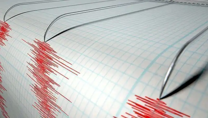 Yeni Zelanda'da Şiddetli Deprem: Dünya Sarsıldı!