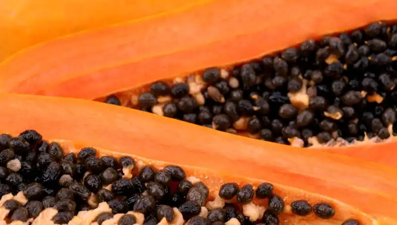 Aç Karnına Yemek: Vücudu İyileştiren Doğal Bir Temizlik Yöntemi