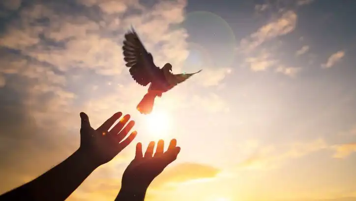 Cuma Mesajları: Anlamlı ve Etkileyici Sözlerle Aşk ve Barışı Paylaşın