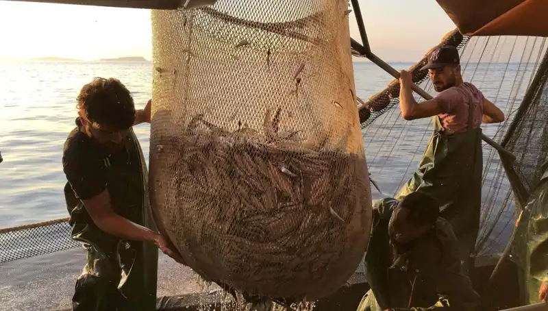 Balıkçılar Fransa'nın Kararına Tepki Gösteriyor: İhlal Cezaları Artıyor!