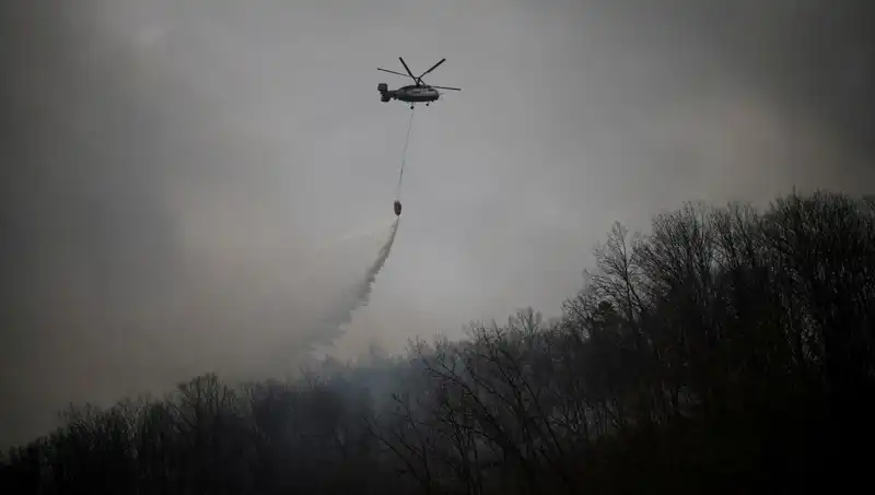 Güney Kore'de Helikopter Kazası: Yangın Söndürme Uçuşu Trajediye Dönüştü