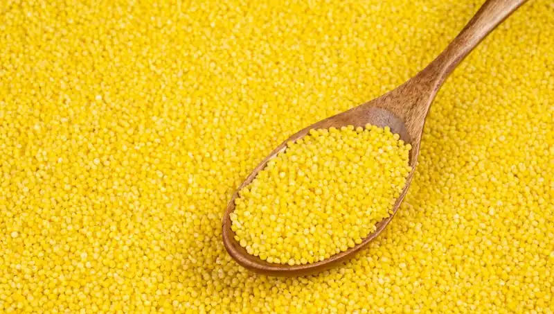 Dünyanın En Eski Süper Besinlerinden Biri: Vücuda Zarar Verebileceği Nedenleri