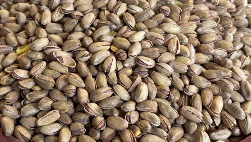 Yılın İlk Çeyreğinde Fıstık İhracatı 59,7 Milyon Doları Aştı