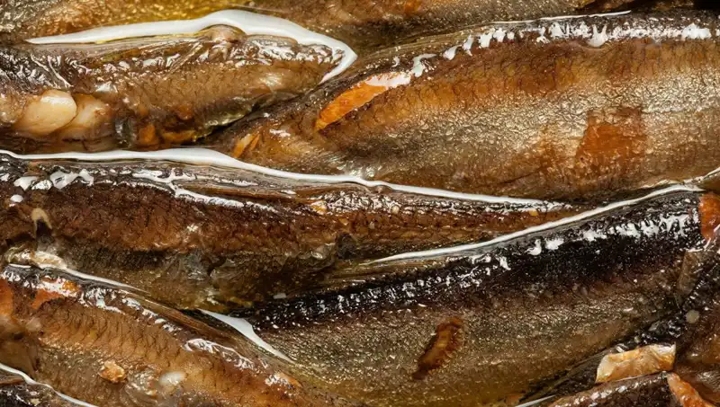 Doğanın Aspirini: Haftada İki Porsiyonla Kalp ve Beyin Sağlığını Koruyun