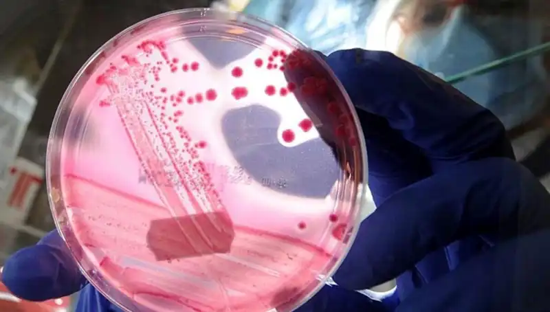 Bilim İnsanlarının AP2A1 Proteini Üzerine Yaptığı Keşif Younglaşmanın Anahtarı Olabilir