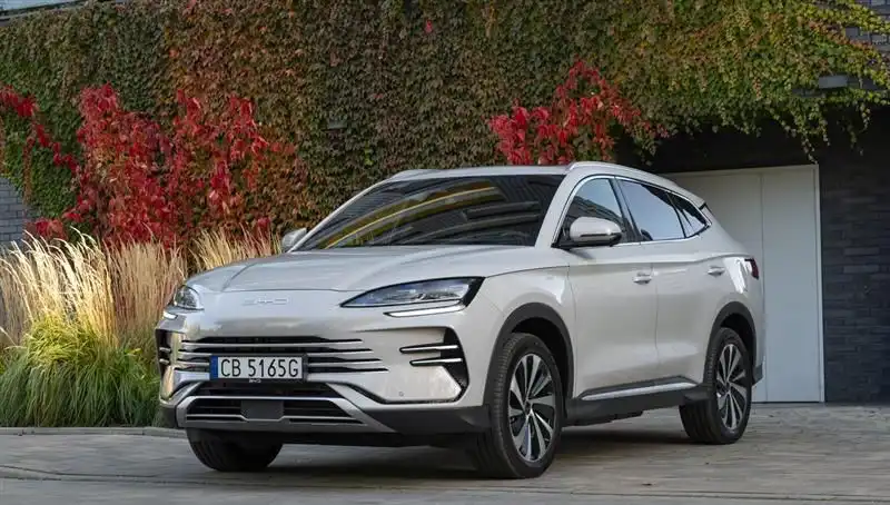 BYD'nin Büyüme Süreci: Zorluklar ve Gelecek Beklentileri