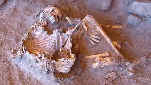 ** Yeni Mumya Keşfi: İnsanlığın Soy Ağacını Değiştiren Şaşırtıcı Bulgular!**