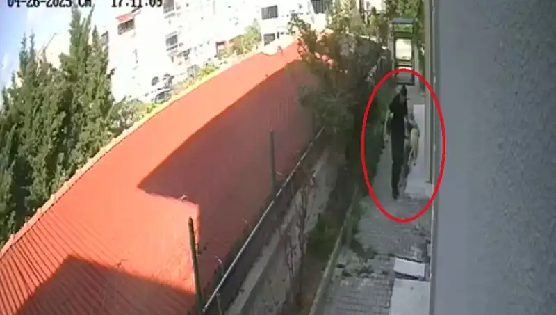 Hayvanlara Şiddet: Doktorun Dehşet Verici Suçları Ortaya Çıktı