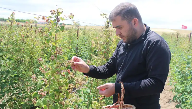 Hobi Olarak Başladı, Şimdi Büyük Bir İşletmeye Dönüştü!