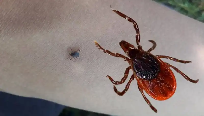 Kene Kabusu: Sağlık Kuruluşunda Yaşanan Trajik Olayın Ayrıntıları