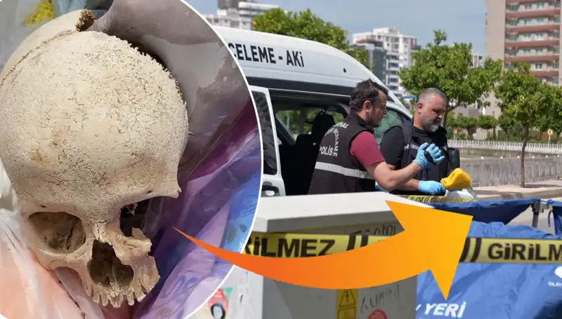 Sitenin Çöpünden Çıkan Kafatası: Korkunç Olayın Perde Arkası!