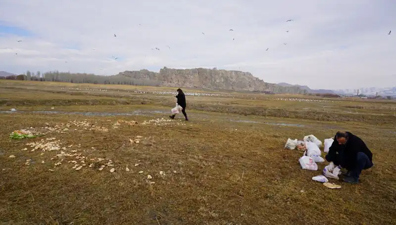 17 Yıldır Ekmek Kırıntısı Toplayan Adamın İlginç Hikayesi