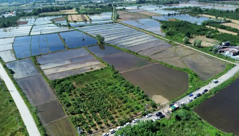 Osmanlı Saray Mutfağı’nın Efsanevi Lezzetleri Artık Toprakla Buluşuyor