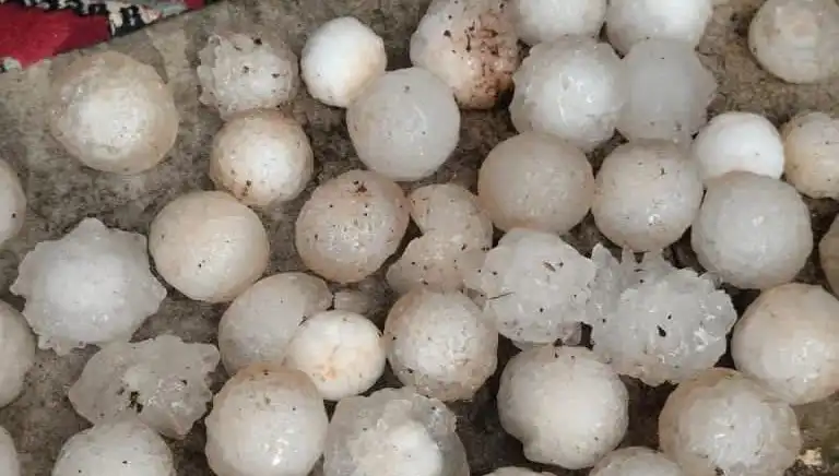 Şanlıurfa’da Kar Topu Büyüklüğünde Dolu Yağışı Şaşkınlık Yarattı