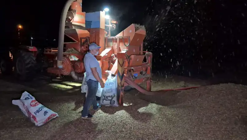 Hasat Sezonu Sona Erdi, Üreticiler Nöbete Geçti: Geçim Kaynağı Tehlikede