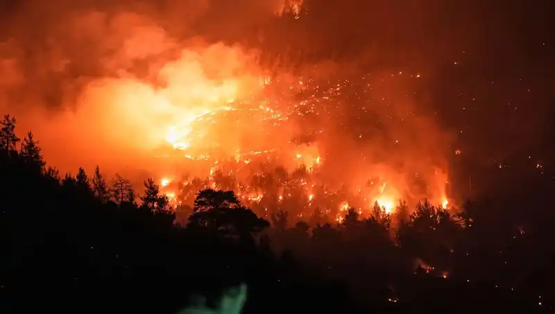 Bursa-Balıkesir Sınırındaki Orman Yangını: Ekipler Kontrol Altında Tuttu