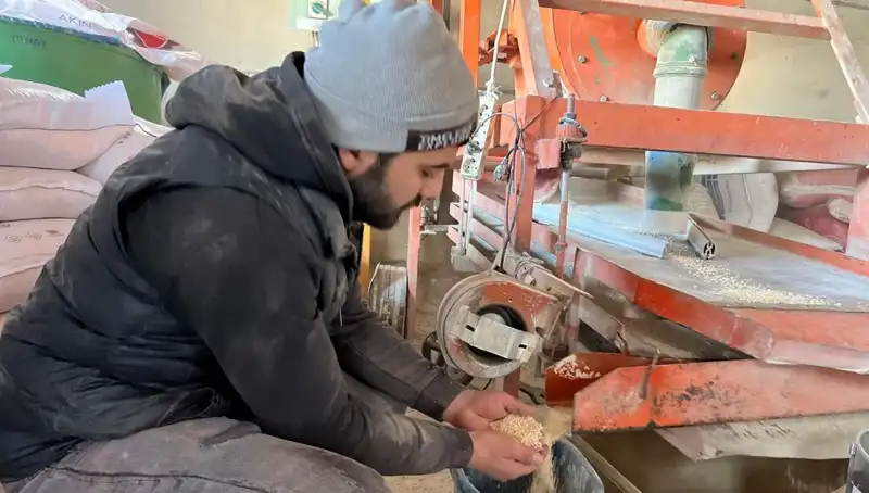 Baharın Coşkusuyla Şehirdeki Hareketlilik Tavan Yapıyor: Kimler Çalışıyor?