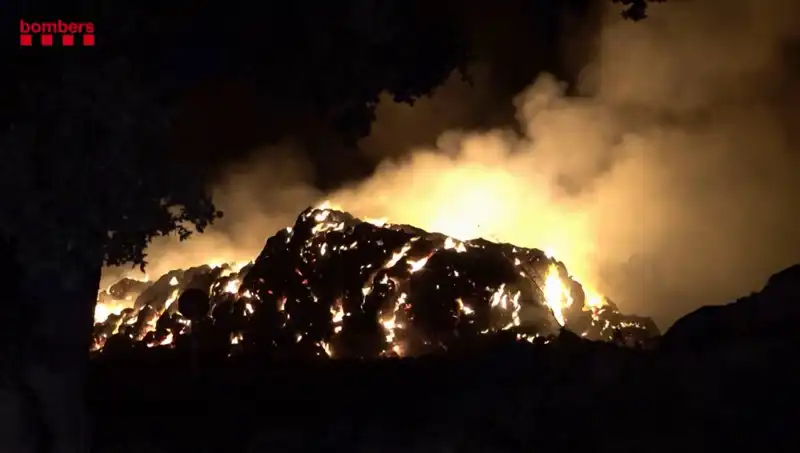 İspanya'daki Orman Yangınları: Nedenler ve Son Durum Hakkında Her Şey