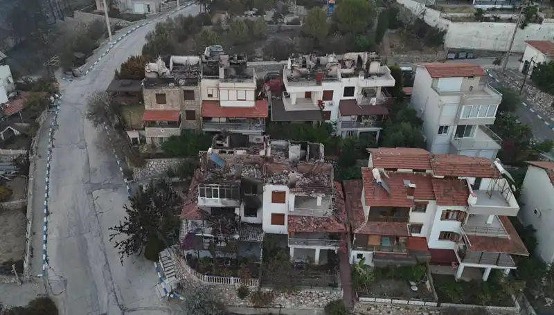 Orman Yangınları: Türkiye’nin Evsiz Kalanları ve Doğanın Yeniden İyileşmesi