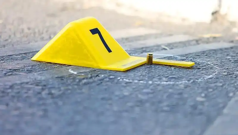 2024'te 394 Kadının Hayatı Son Buldu: Bir Daha Olmasın!