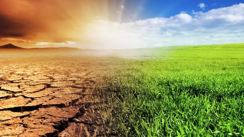 İklim Kanunu: Türkiye'nin Tarımsal Geleceğini Belirleyecek Yenilikler