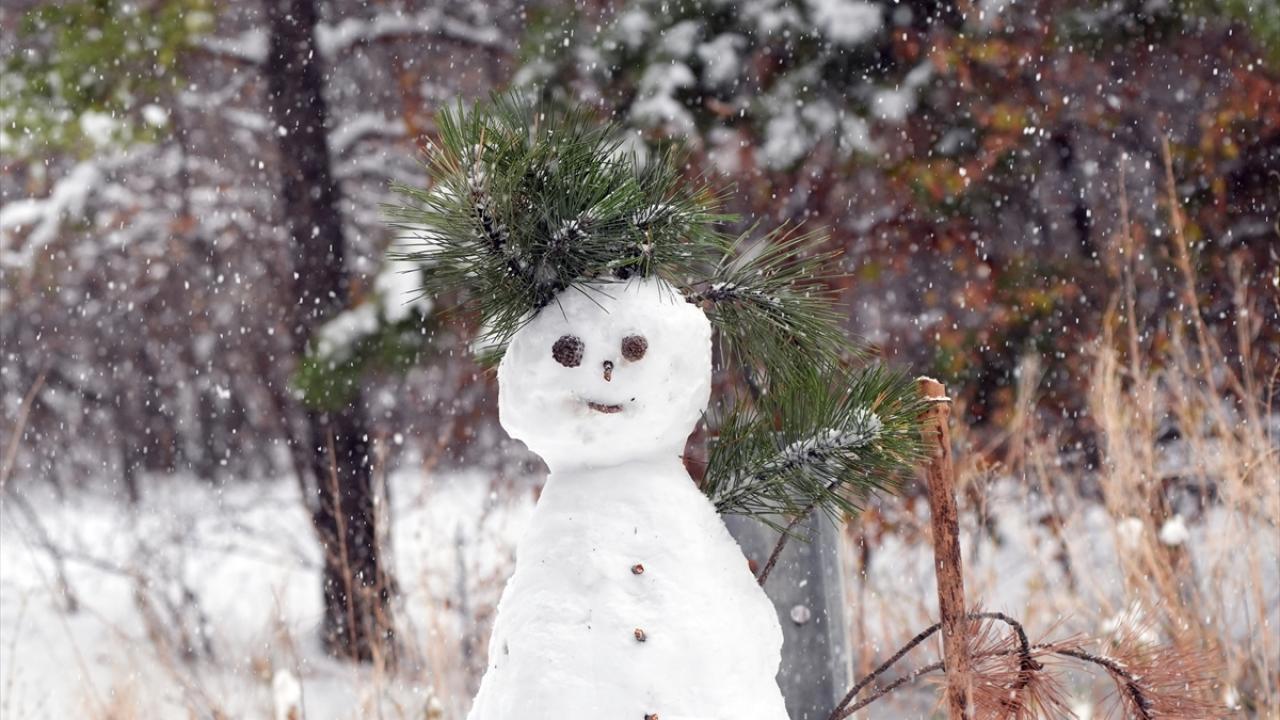 Hava Durumu: Başkentte kar, Megakentte yağmur bekleniyor