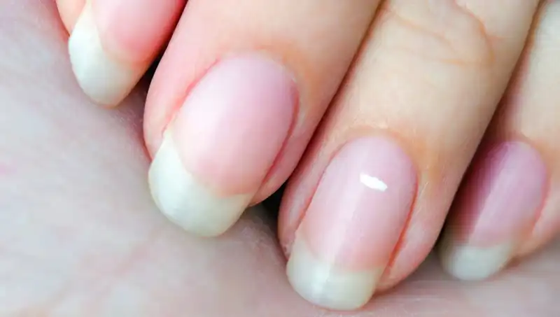 Tırnaklarınız Hayat Sürenizi Gözler Önüne Seriyor mu? Uzmanlar Açıklıyor!