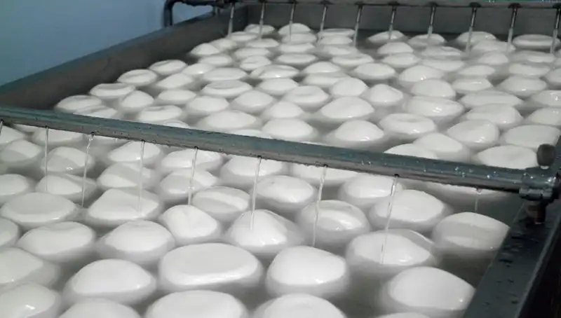 Gıda Güvenliği Alarmı: 60 Ürün Geri Çağrıldı, 9 Kişi Böbrek Yetmezliği Tehditinde