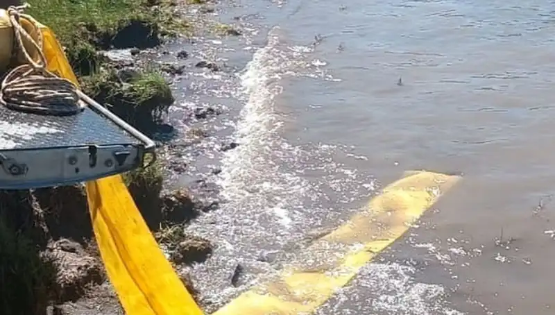 Göletlere Yavru Balık Bırakıldı: Sıra Doğada Yüzmede