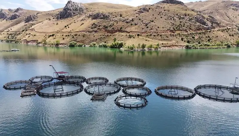 Denizi Olmadan Balıkçılıkta Zirveye Oynayan Şehir: Hedef 5 Bin Ton!