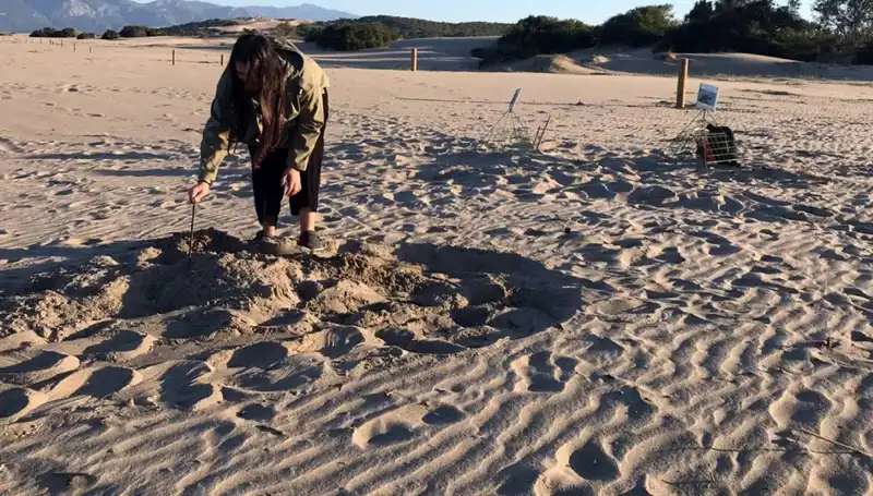 Gece Sahillere Giriş Yasak: Cezası 557 Bin 212 TL!