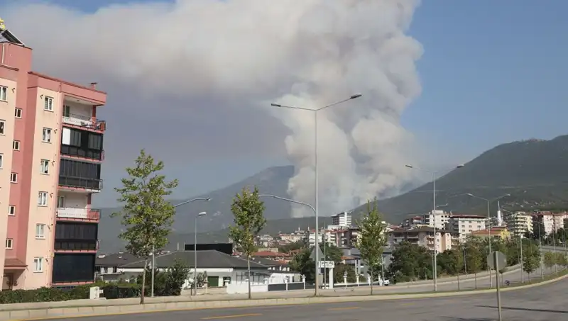 Denizli'de Yangın Korkusu: Ormanlık Alan Alev Alev Yandı