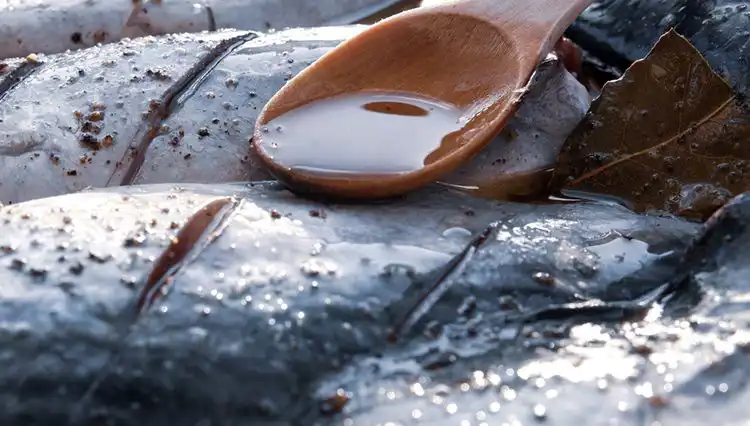 78 Yaşındaki Doktorun Şaşırtan Gençlik Formülü: 7 Besin Lezzetli Bir Yol Sunuyor