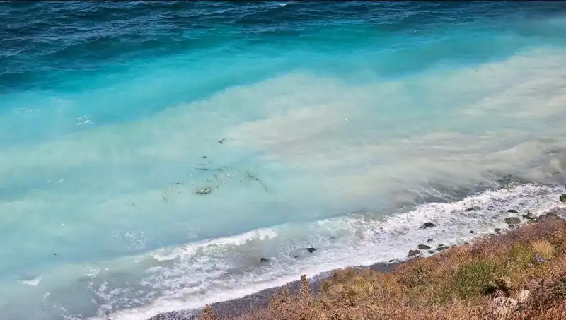 Tehlikeli Şlam Atığı: 2 Kilometre Kıyı Nasıl Etkilendi?