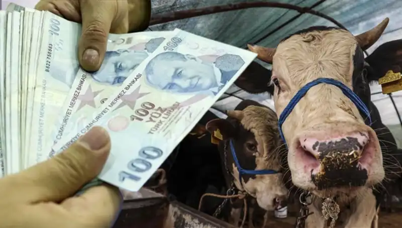 Emekli ve Memurların Maaşları Bayram Öncesi Yatacak mı?