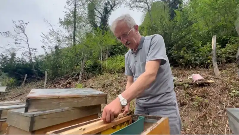 Doğanın Gizli Hazzesi "Komar": Antibiyotik mi, Yoksa Tehlikeli Şey mi?