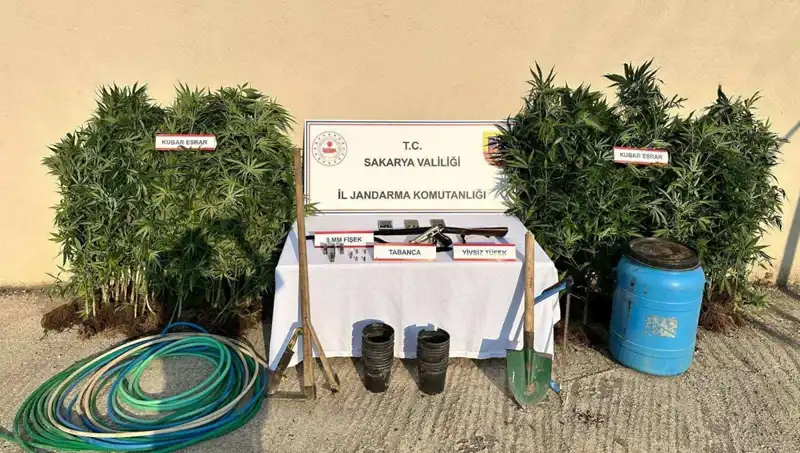 Sakarya'da Uyuşturucu Operasyonu: Bir Şahıs Tutuklandı