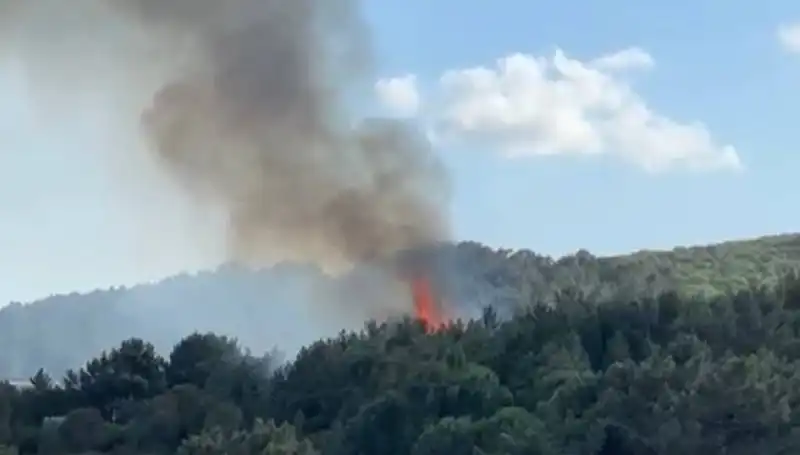 Aydos Ormanı’ndaki Yangın Sonrasında Doğa ve Su Kaynakları Korunacak mı?