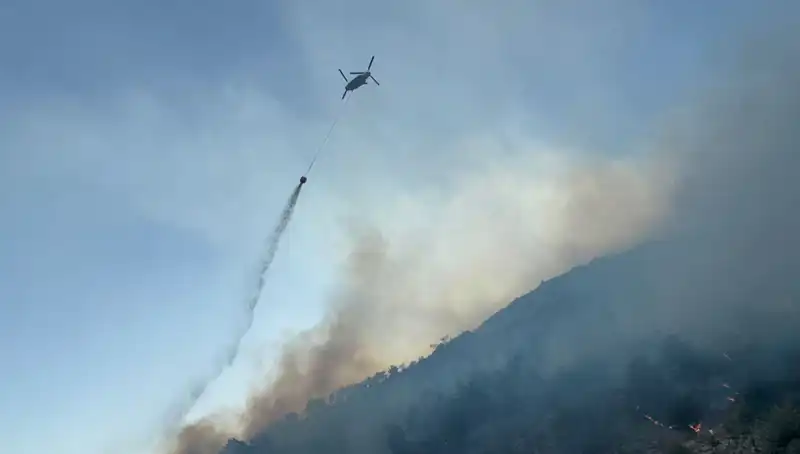 Söke'deki Orman Yangını Kontrol Altına Alındı, Bölgedeki Durum Nedir?