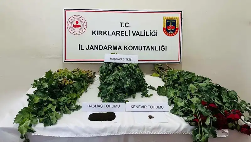 Kırklareli'nde Uyuşturucu Operasyonu: 8 Gözaltı ile Suç Ağı Çökertildi