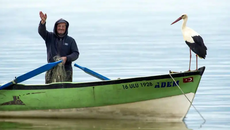 Yaren Leylek Geri Döndü: Baharın Müjdecisi Yuvaya Ulaştı!