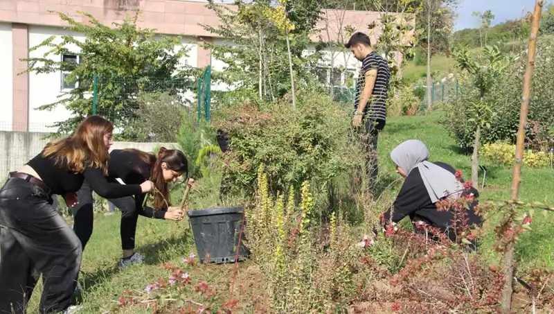Düzce’nin Yıldızı: Hayaldan Gerçeğe Dönüşen Bir Başarı Hikayesi