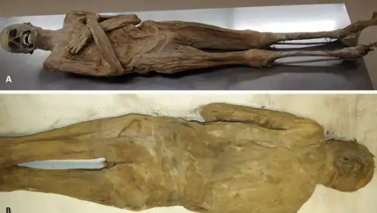 Kurutulmuş Papazın Mumyası: Eski Mısır’dan Farklı Gizemli Sırların Peşinde