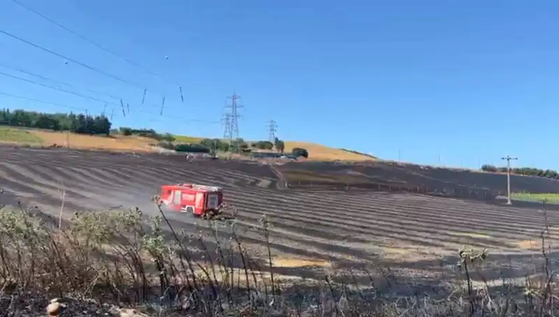 Büyükçekmece'deki Tarlada Meydana Gelen Yangın Paniğe Neden Oldu