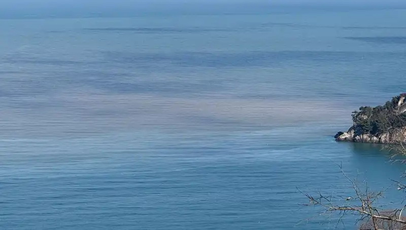 Bartın Irmağı Çamurlu Suyuyla Denizi Nasıl Etkiledi?