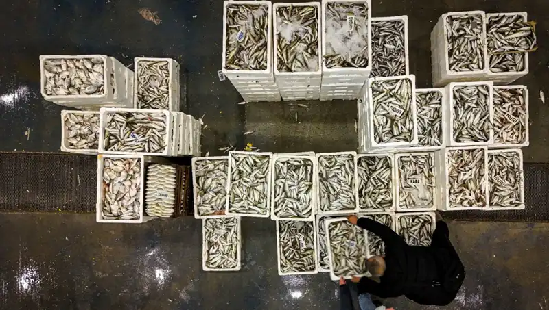 Denizlerden Gelen Yasak: Av Sezonu Kapatılıyor!